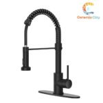 Spring Kitchen faucet